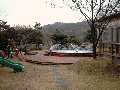 iris pool 70.gif
